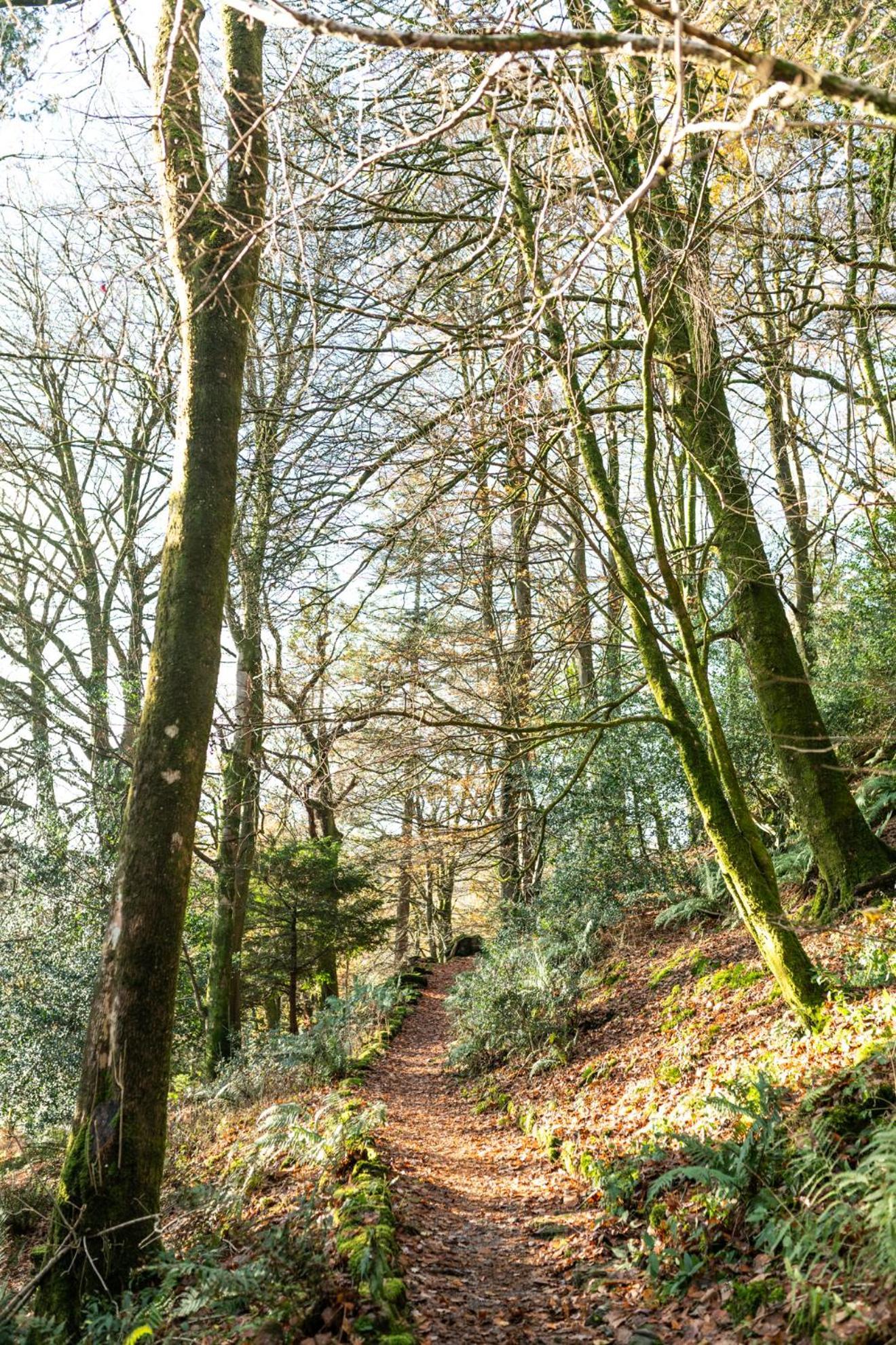 Lancrigg Hotell Grasmere Eksteriør bilde